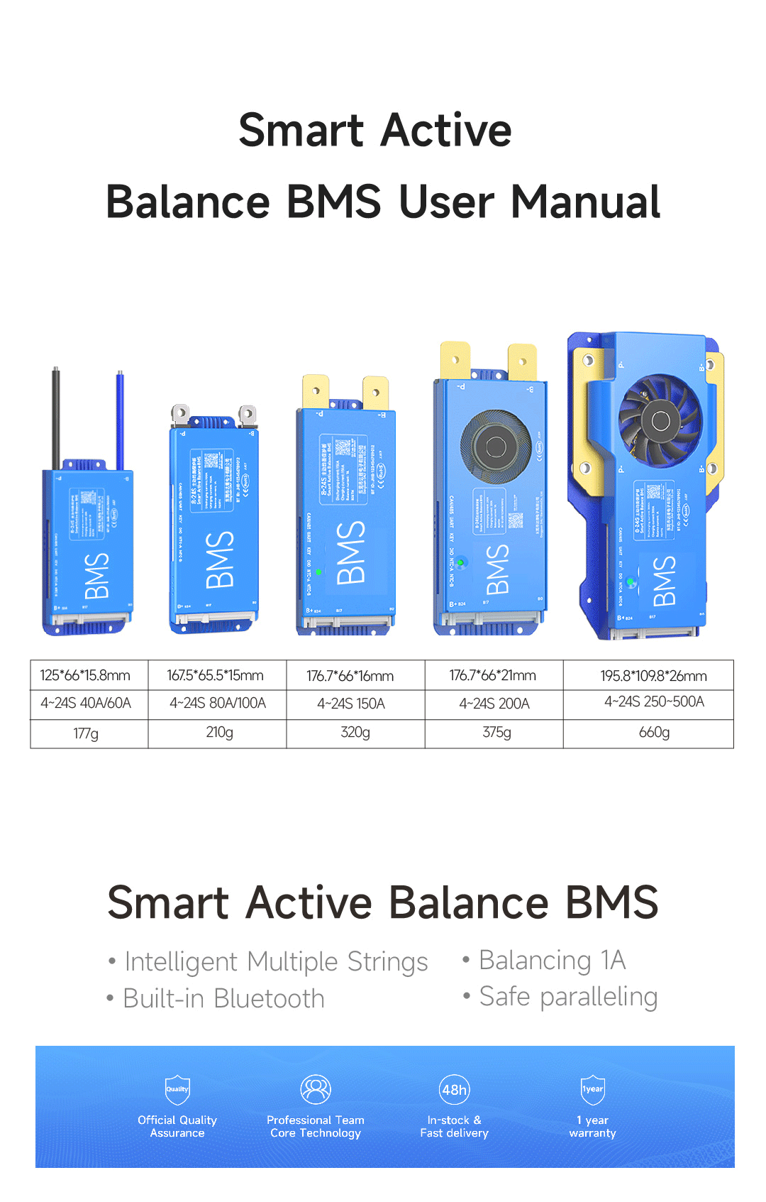 DALY BMS 100 BALANCE Image 